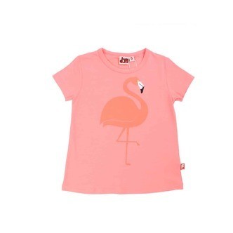 DYR | Wildlife flamingo, koral