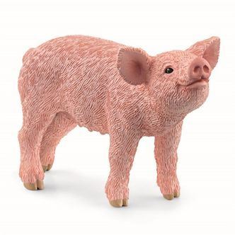 Pattegris, Schleich