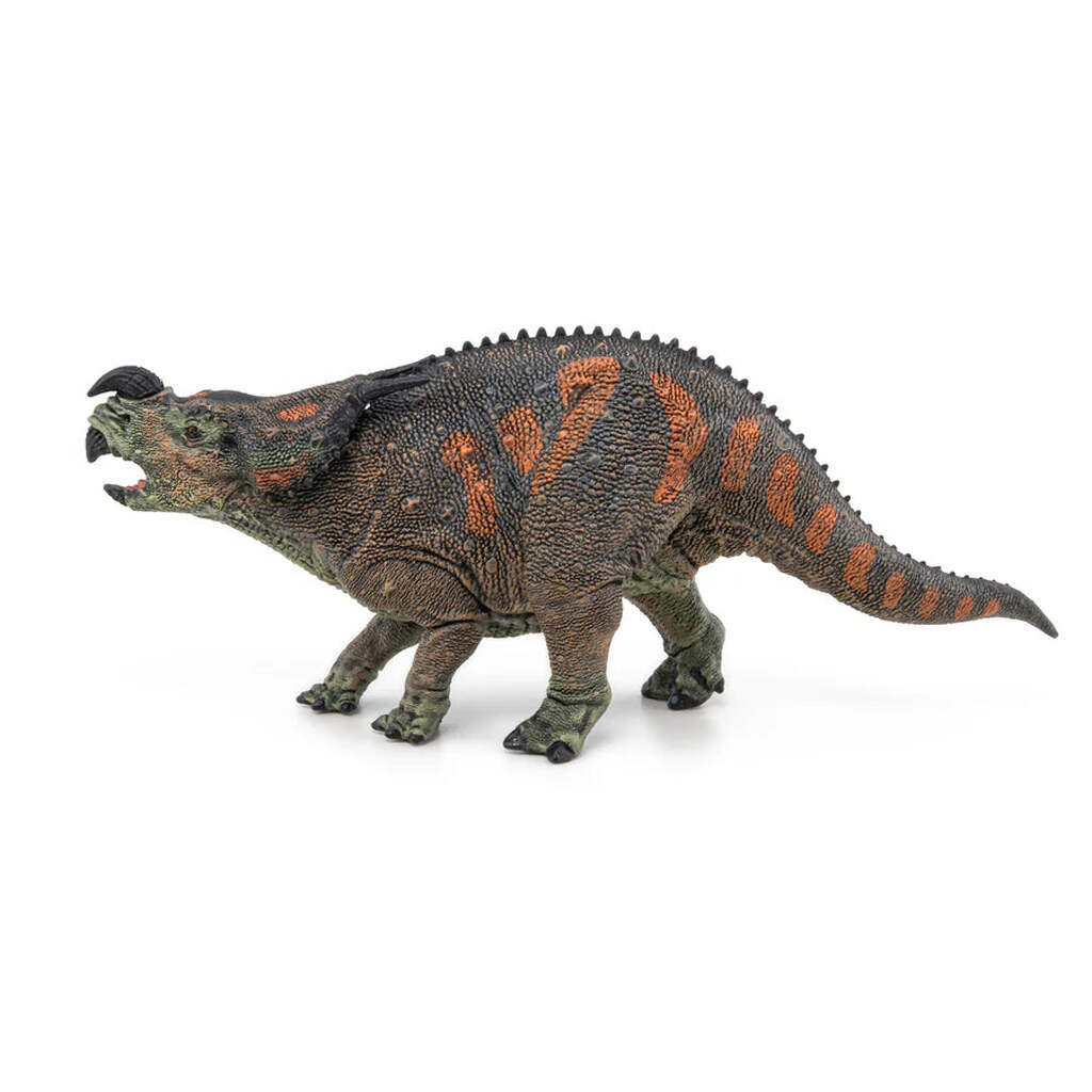 Einiosaurus, Papo