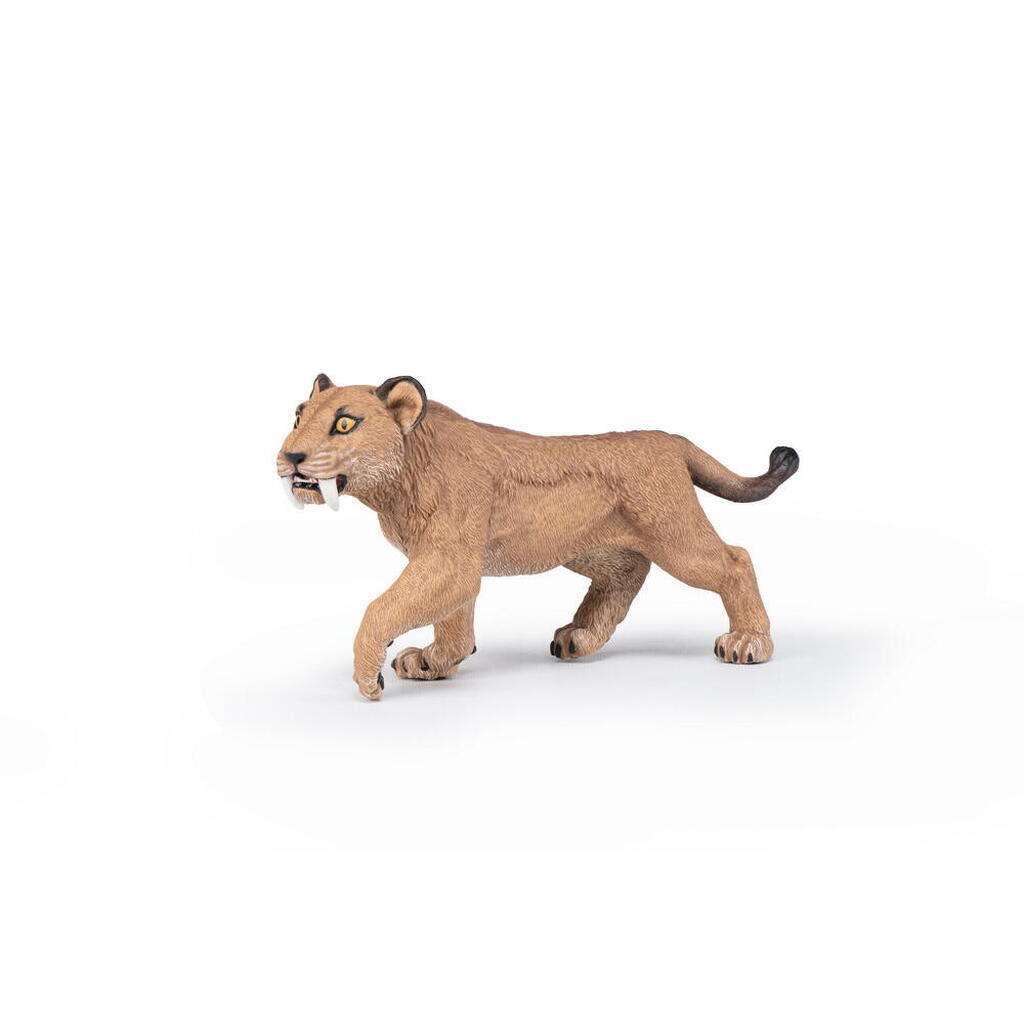 Ung Smilodon, Papo