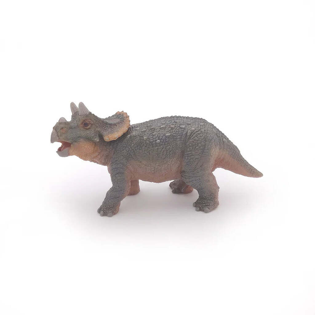 Triceratops Unge, Papo
