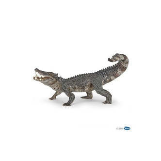 Kaprosuchus, Papo