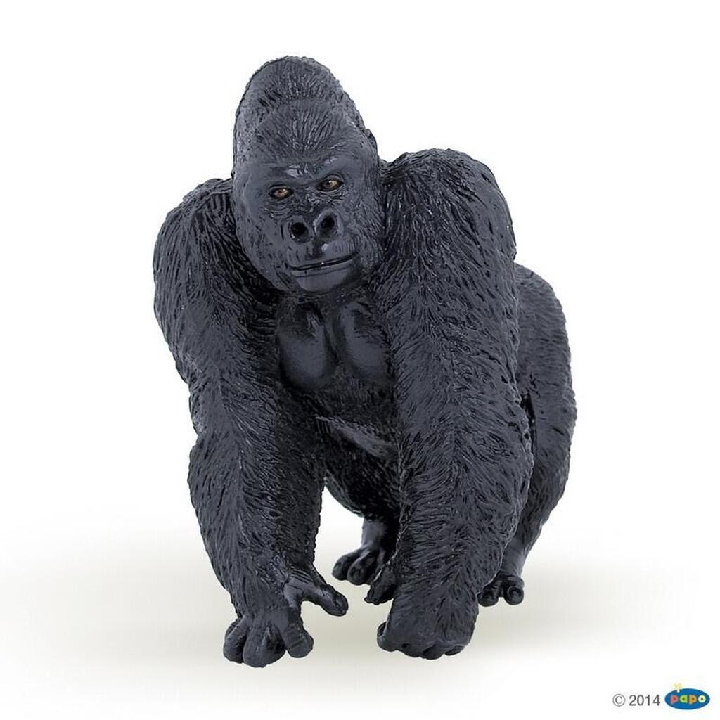Han Gorilla, Papo