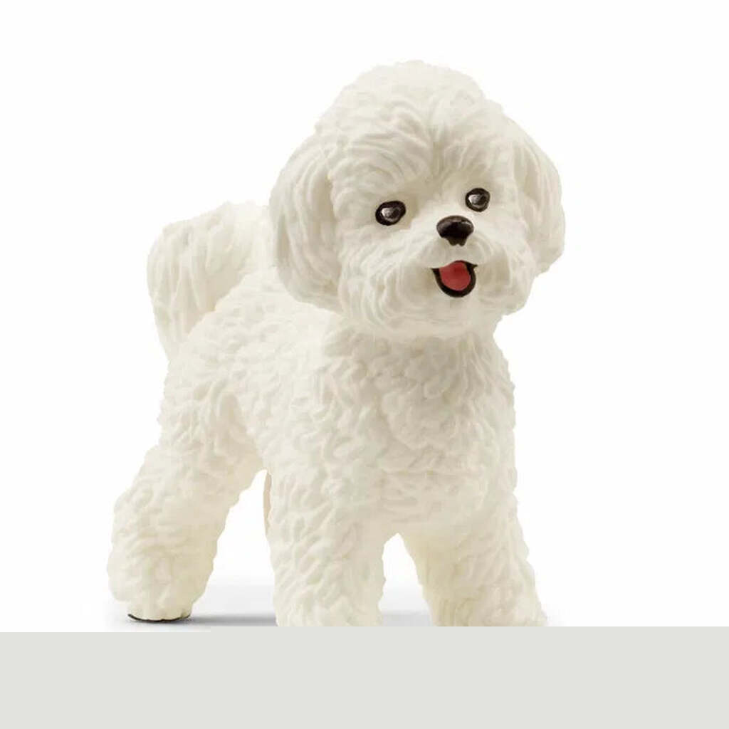 Bichon Frisé, Schleich