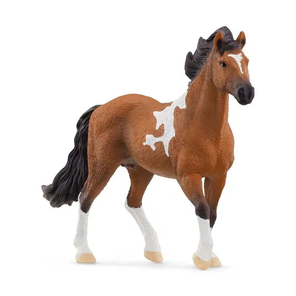 Mangalarga Marchador, Hingst, Schleich