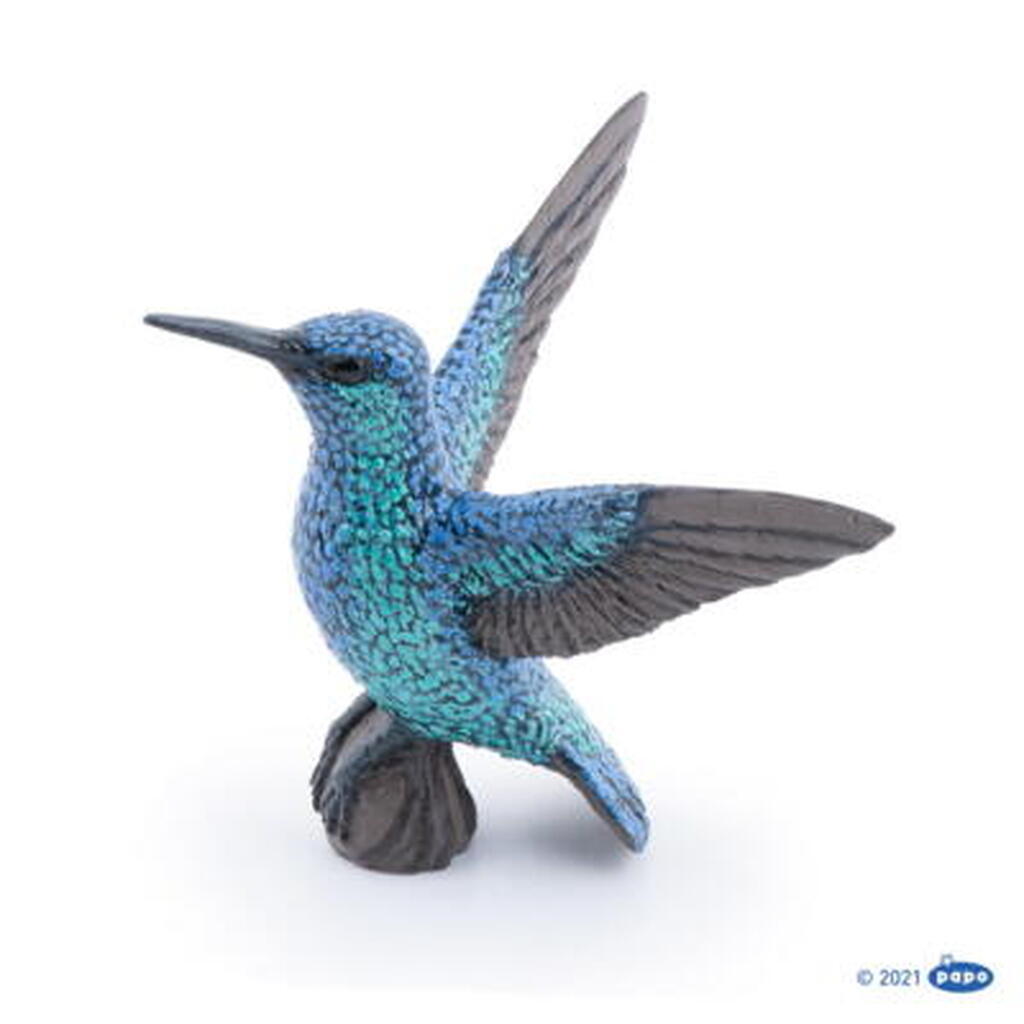 Kolibri, Papo