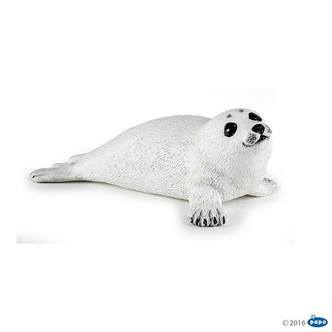 Baby Sæl, Papo