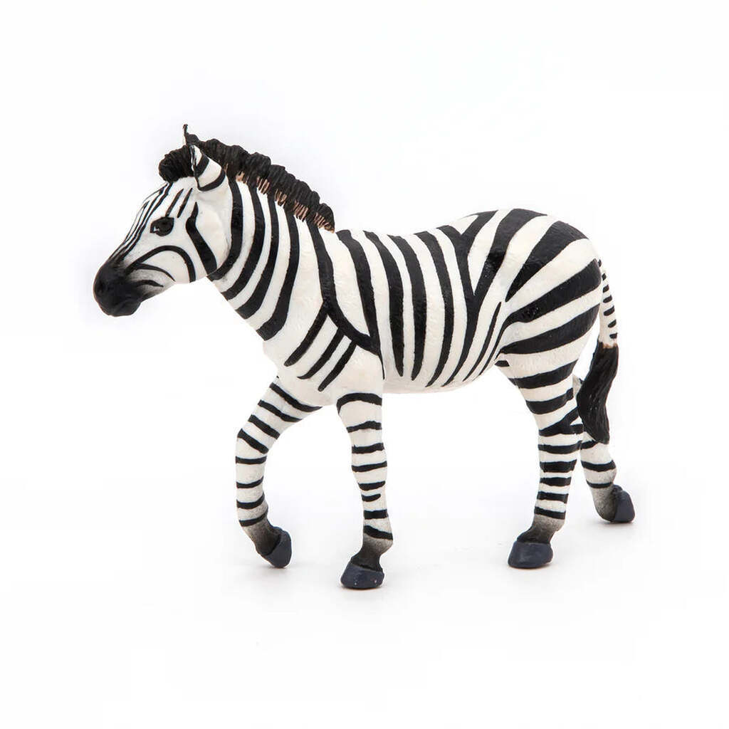 Han Zebra, Papo