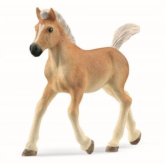Haflinger føl, Schleich