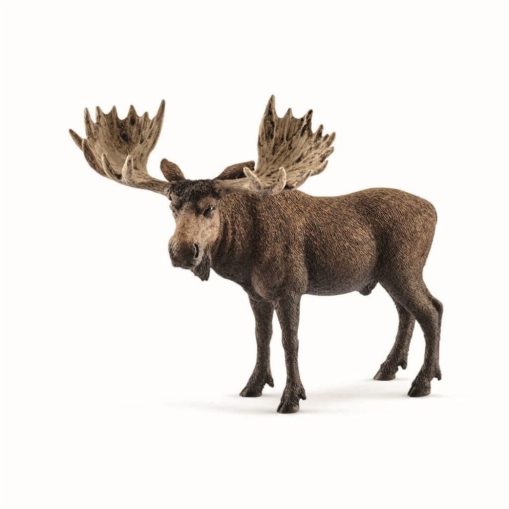 Elg, Tyr, Schleich