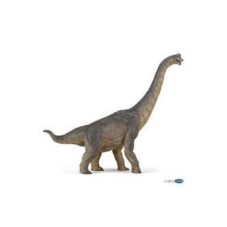 Brachiosaurus, Papo
