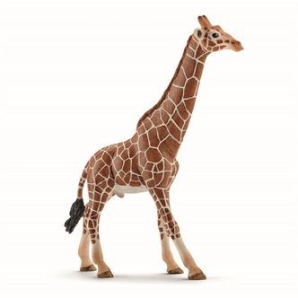 Giraf, Han, Schleich