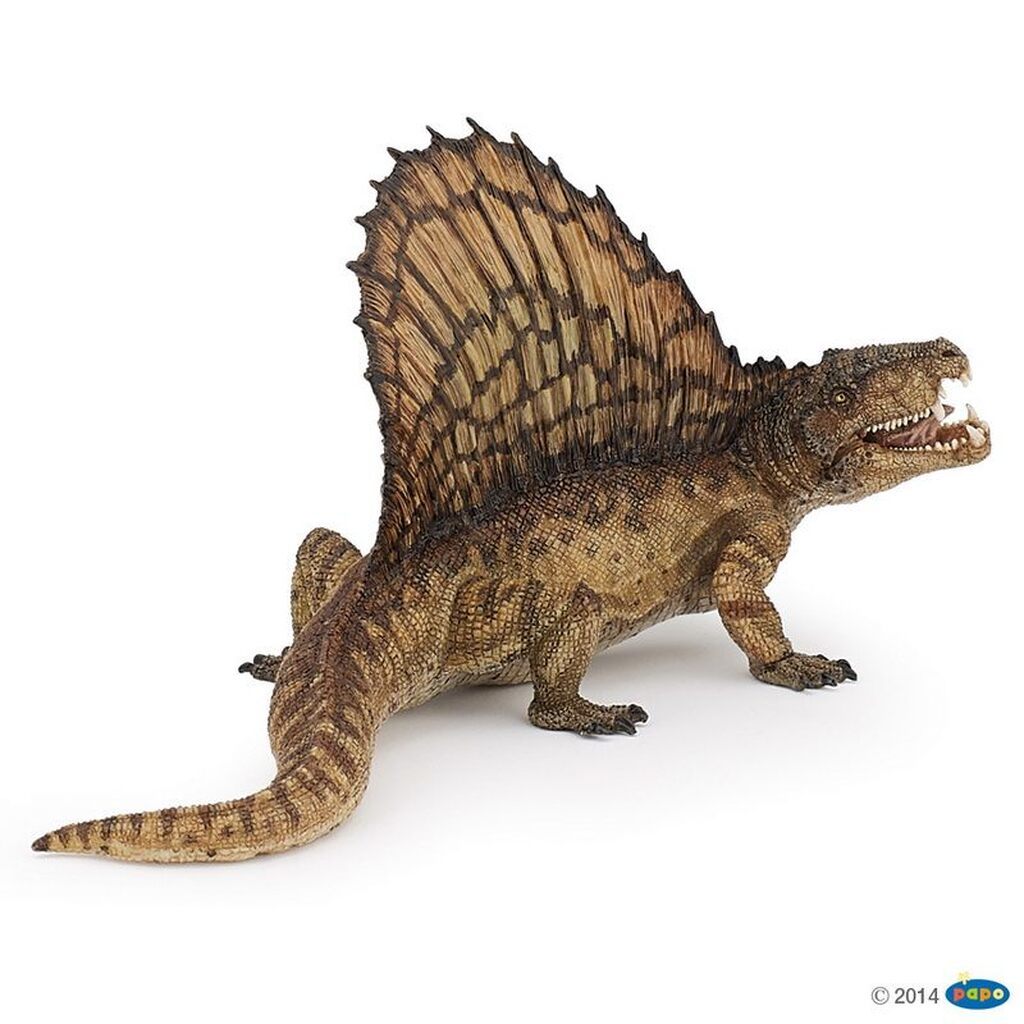 Dimetrodon, Papo