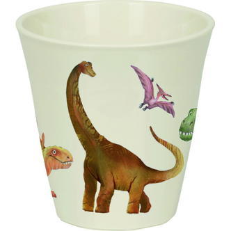 Kop Dinosaur, Die Spiegelburg