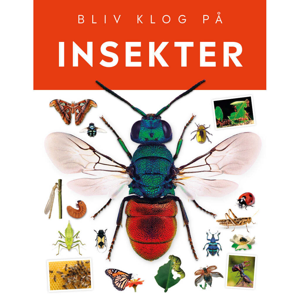 Bliv Klog på Insekter, Forlaget Globe